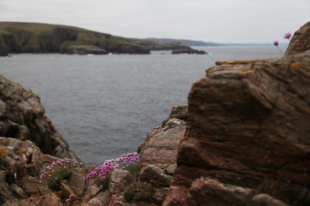 Armadale House Scotland Farr North Coast B&B Exterior photo